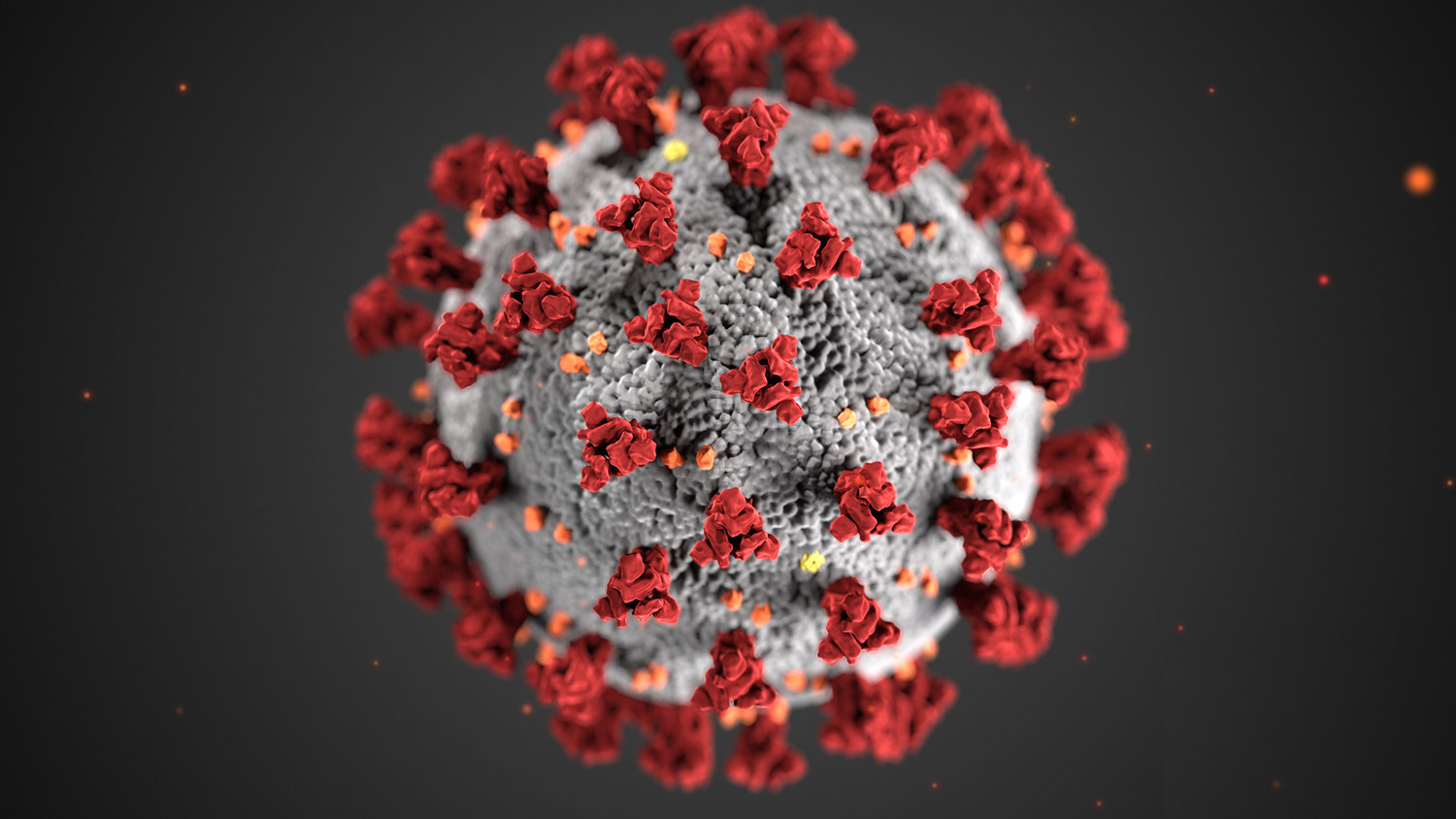 As the Delta variant of the COVID-19 virus spreads rapidly through the county, Fort Bend officials are encouraging people to get vaccinated and resume practicing social distancing.